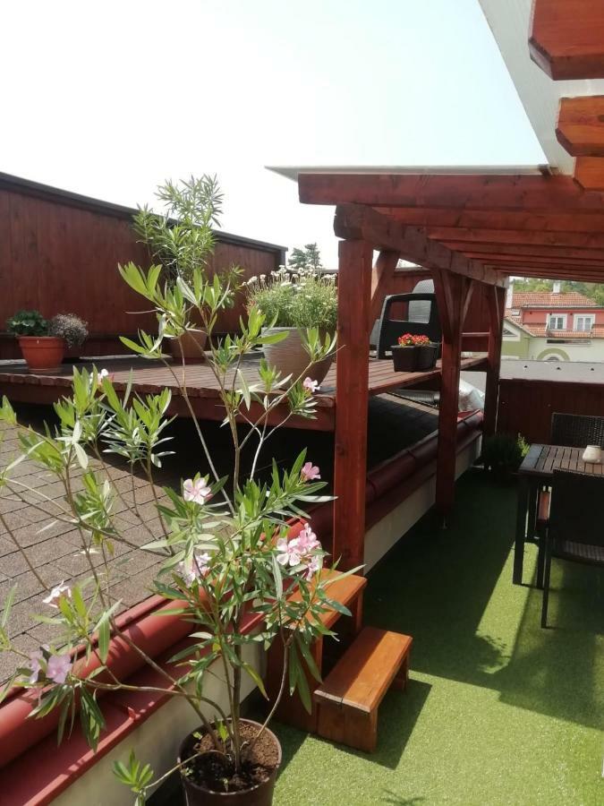 Penzion U Papousku Jindřichŭv Hradec Kültér fotó